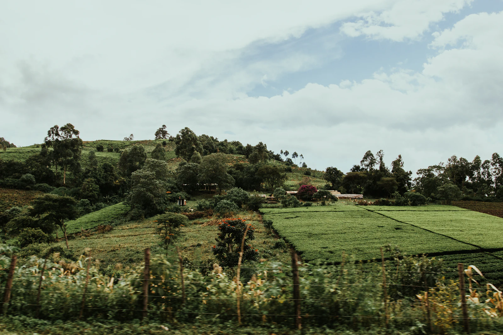 Buy land from abroad